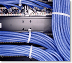 Blue Network Cables